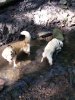 20190725_094728.jpg