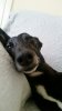20190731_162818.jpg