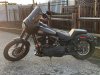 Harley_8819.jpg