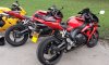 Red Black x 2.jpg
