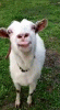 giphy (2).gif