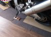Carpet.jpg