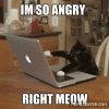 giphy (9).gif