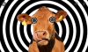 Cow.PNG