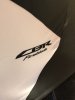 339662E6-F16C-4523-81AD-6E2D409DF4B4.jpeg