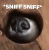 tenor.gif