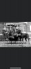 860957AD-77C4-4214-884A-FCB570F3685B.jpeg