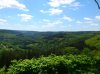 DSC_0264.jpg