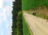 DSC_0272.jpg