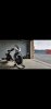 Screenshot_20210814-124151_Gallery.jpg