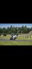 Screenshot_20210814-124058_Gallery.jpg