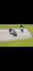 Screenshot_20210912-125027_Gallery.jpg