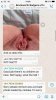 0C3DC078-7FBC-4A5E-8C56-608B8026FE65.jpeg