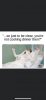 72a5f624-6427-4d7f-8d01-6ac4c07cdd58.jpeg