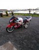 IMG_20231125_151440.jpg