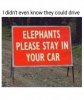 FB_IMG_1717884293987.jpg