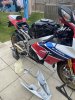 IMG_2934.jpeg
