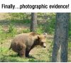 IMG_4853.jpeg