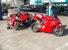 SDC10432.jpg