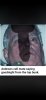 WhatsApp Image 2026-02-26 at 18.49.25.jpeg