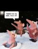 IMG_0412.jpeg