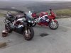 Old Fireblades.jpg