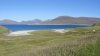 DSC04616.jpg