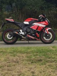 neil.marsh.758
