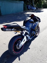 Motorcyclebear