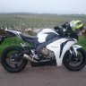 Rex636
