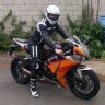 Urban Tiger77