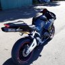 Motorcyclebear