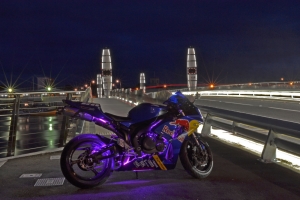 Redbull Purple