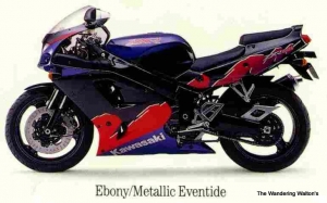 Kawasaki ZXR750 L1 1993 (Library Photo)