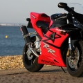 2003 954 Fireblade
